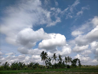 Similar image 22536010