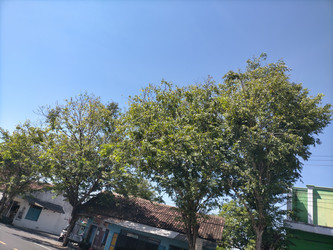 Similar image 22536041