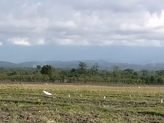 Similar image 22536056