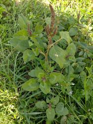 Similar image 22536088