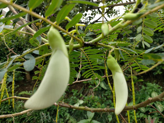 Similar image 22536117