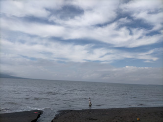 Similar image 22536132