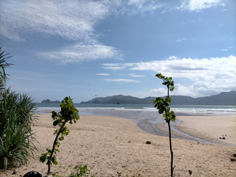 Similar image 22536146