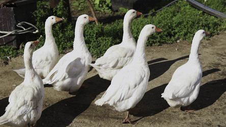 Similar image 22503512