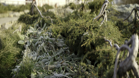 Similar image 22503543