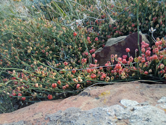 Similar image 22494600