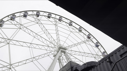 Similar image 22503545