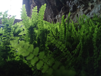 Similar image 22494601