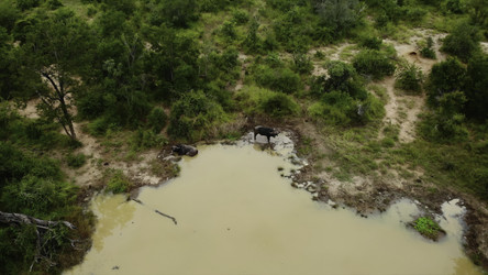 Similar image 22503604