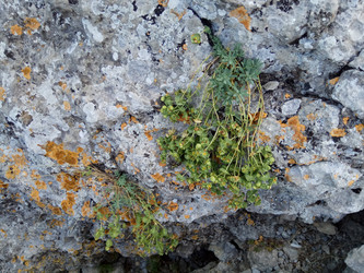 Similar image 22494583