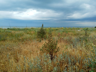 Similar image 22494584