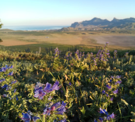 Similar image 22494587