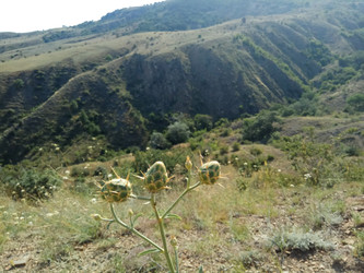 Similar image 22494588