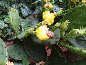 Similar image 22494590