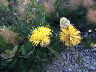 Similar image 22494591