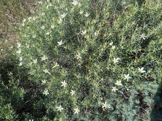 Similar image 22494592