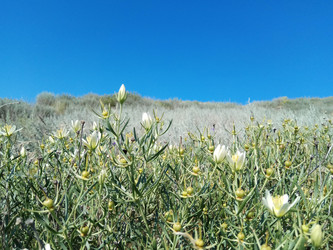 Similar image 22494593