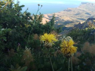 Similar image 22494605