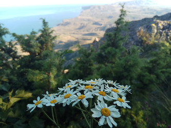 Similar image 22494608