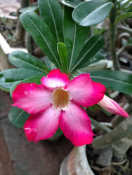 Similar image 22498802