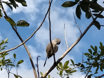 Similar image 22498817