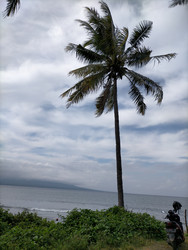 Similar image 22498818