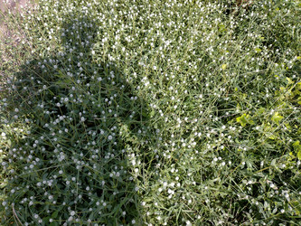 Similar image 22498833