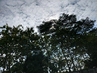 Similar image 22498846