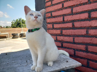 Similar image 22498864