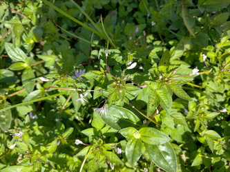 Similar image 22498877