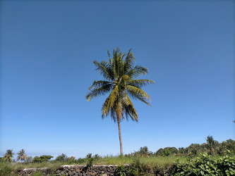 Similar image 22498878