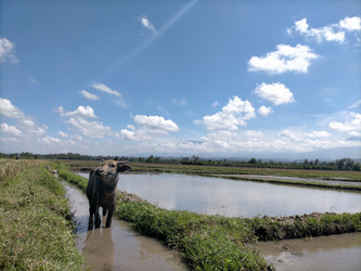 Similar image 22498893