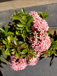 Similar image 22498908