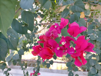 Similar image 22498909