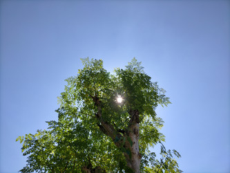 Similar image 22498923