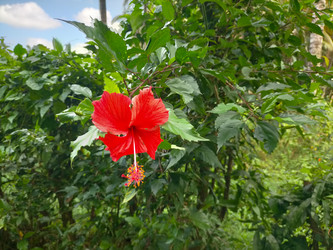 Similar image 22498954