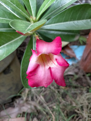 Similar image 22499013