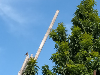 Similar image 22499028