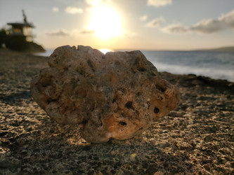 Similar image 22499029