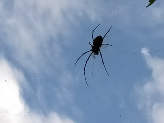 Similar image 22499043