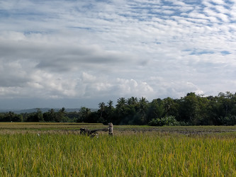 Similar image 22499058