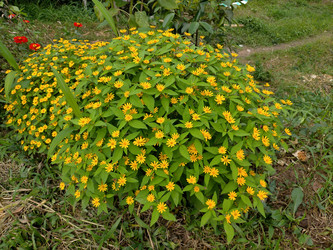 Similar image 22499059