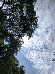 Similar image 22499072