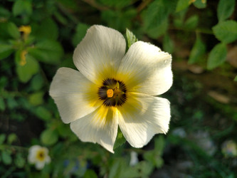 Similar image 22499073