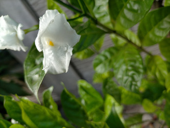 Similar image 22499354