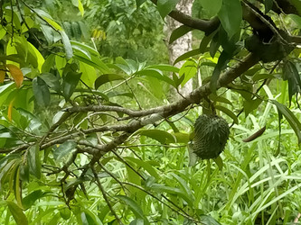 Similar image 22499384