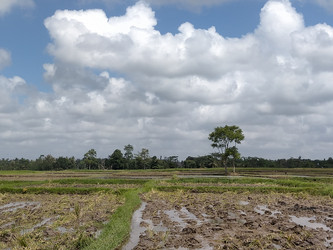 Similar image 22499399