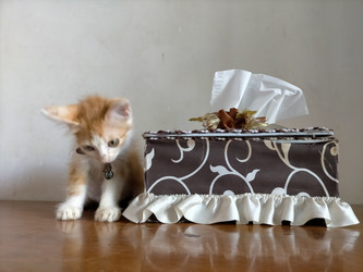 Similar image 22499413