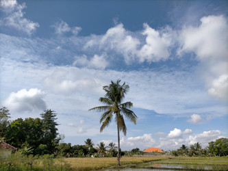 Similar image 22499428