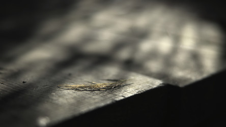 Similar image 22502840